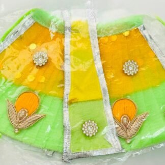 Radha Rani lehenga with mirror work and sparkle detailing